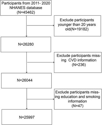 Association of composite dietary antioxidant index with cardiovascular disease in adults: results from 2011 to 2020 NHANES